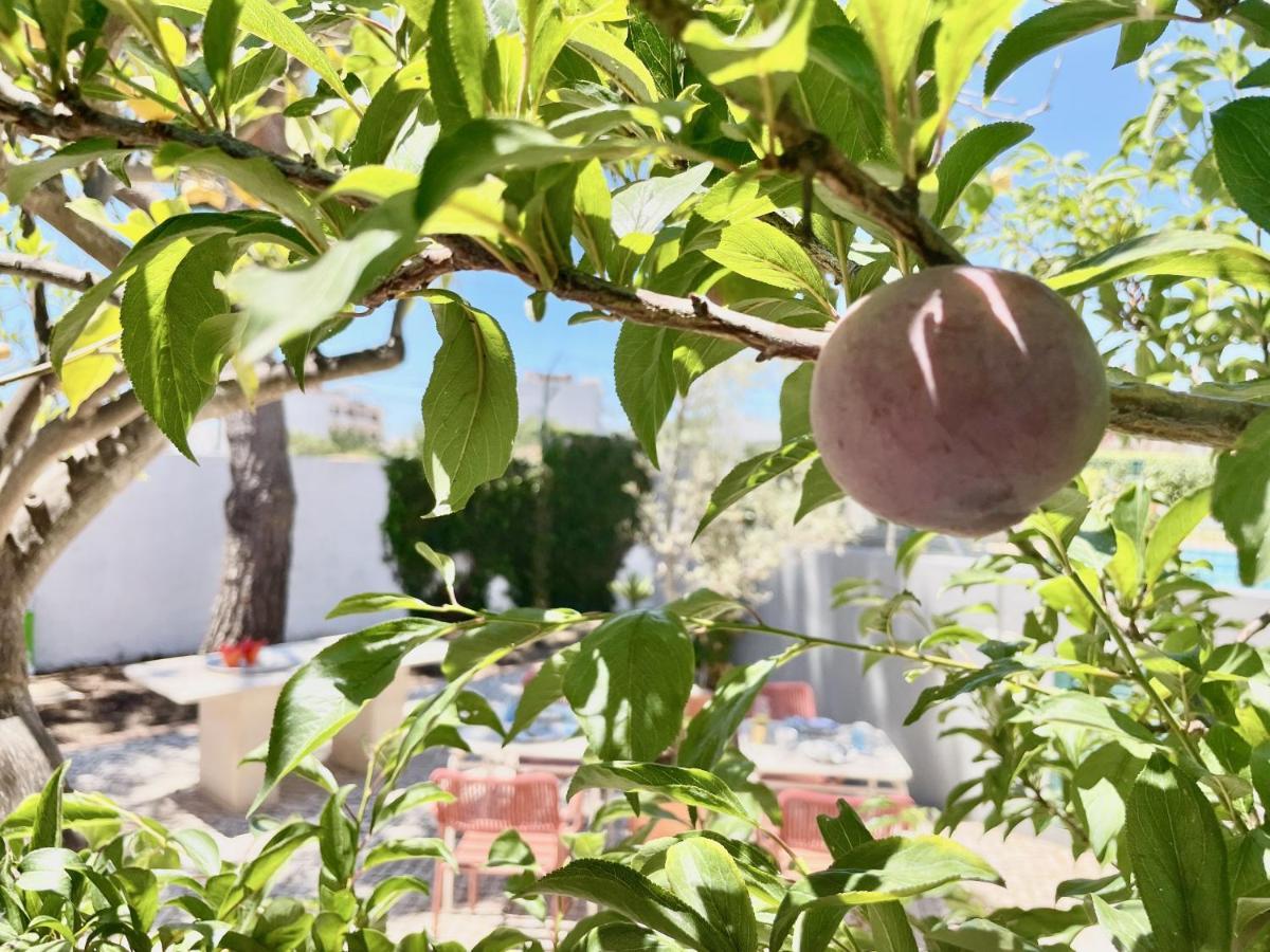 Charm Of The Algarve, Luxury Guesthouse Adults Only Olhão Екстериор снимка